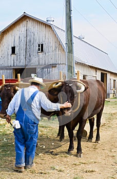 Farmer