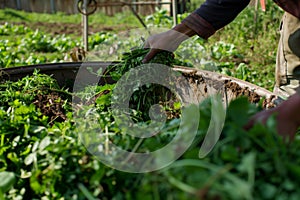 farmer adding organic waste to a smallscale biogas digester