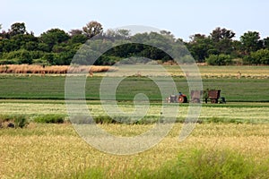 Farmer in Africa