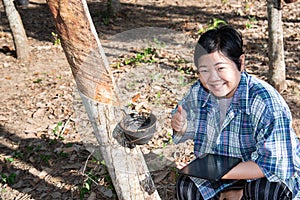 Farmer agriculturist Rubber tree plantation