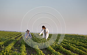 Farmer and agronomist in field with weeds