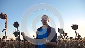 Farmer agronomist holds tablet touch pad computer in the sunflower field and examining crops before harvesting