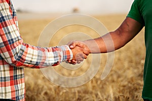 Farmer and agronomist shaking hands standing in a wheat field after agreement. Agriculture business contract concept