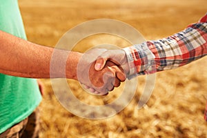 Farmer and agronomist silhouettes shaking hands standing in a wheat field after agreement in dusk. Agriculture business