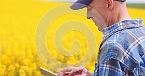 Farmer or Agronomist Walking on Agrculture Field and Looking at Crops