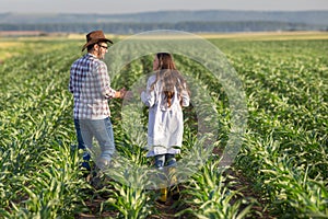 Farmer and agronomist in wheat field