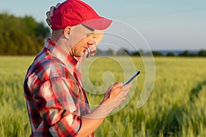 Farmer or agronomist in the wheat field with smartphone in his hands.