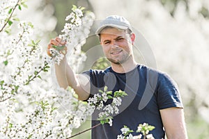 Farmer analyzes flower cherry orchard with blossoming trees in s