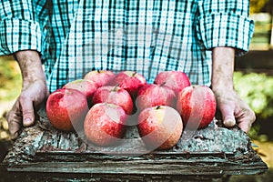 Farmer with apples