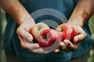 Farmer with apples photo