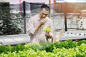 A farmer ate fresh salad vegetables from the nursery to show that his vegetables were not contaminated with chemicals