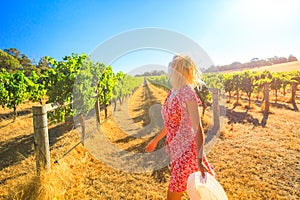 Farmer in Australian Vineyard photo