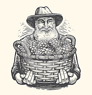 Farmer with a basket of grapes drawn in vintage engraving style. Viticulture, vineyard sketch. Vector illustration