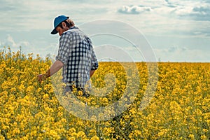 Farmer in blooming canola field
