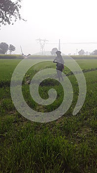 Farmer boy in india haryana photo