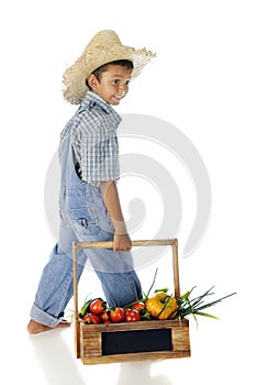 Farmer Boy with Veggies