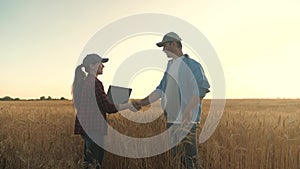 A farmer and a businessman talk in a wheat field, make a deal, use a tablet. Two business farmers, a man and woman