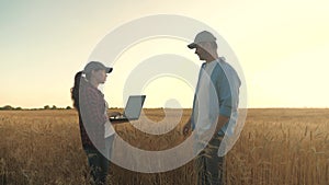 A farmer and a businessman talk in a wheat field, make a deal, use a tablet. Two business farmers, a man and woman