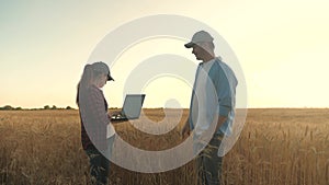 A farmer and a businessman talk in a wheat field, make a deal, use a tablet. Two business farmers, a man and woman