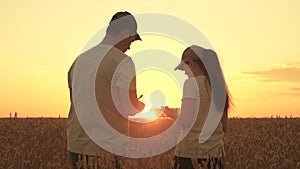 Farmer and businessman work in a wheat field with tablet. Agronomist and businessman are working in field with tablet in