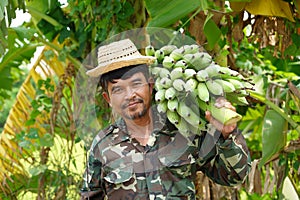 Farmer carrying of green bananas