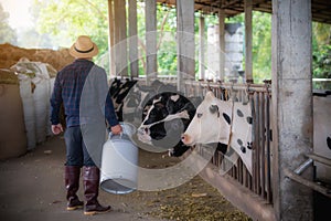 Farmer carrying kettle full of milk