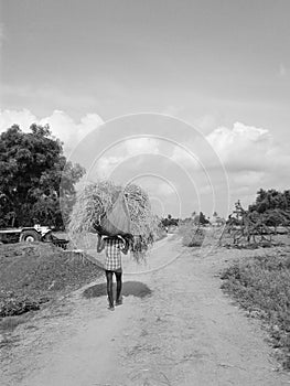 A farmer carrying a load of straw