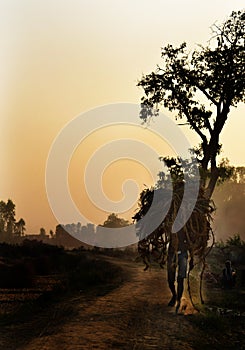 Farmer carrying ropes