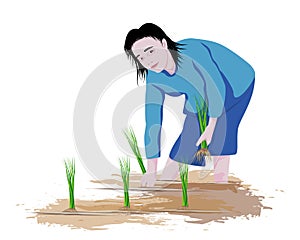 Farmer cartoon shape transplant rice seeding