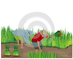 Farmer cartoon shape work in paddy field