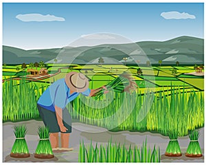 Farmer cartoon shape work in paddy field photo