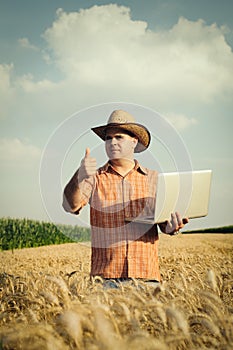 Farmer checking his wheat field