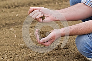 Farmer Checking Soil Quality of Fertile Agricultural Farm Land