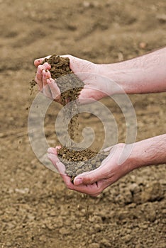 Farmer Checking Soil Quality of Fertile Agricultural Farm Land