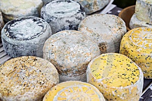 Farmer cheese on market counter