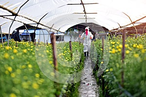 Farmer in Chemical protection suit