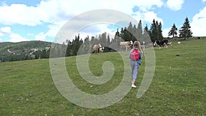 Farmer Child Pasturing Cows, Cowherd Kid with Cattle on Meadow in Mountains, Tourist Little Girl Outdoor with Animals in Nature