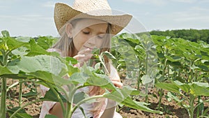 Farmer Child in Sunflower Field, Girl, Kid Studying Playing in Agrarian Harvest