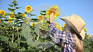 Farmer Child in Sunflower Field, Girl Studying Playing in Agrarian Harvest