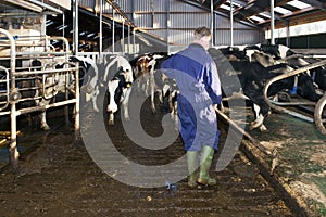 Farmer cleaning a stable photo