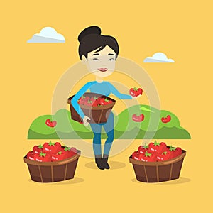 Farmer collecting tomatos vector illustration.