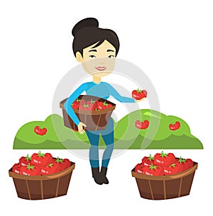 Farmer collecting tomatos vector illustration.