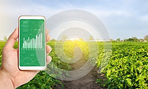 Farmer collects information from farm fields. IoT Internet of things in agriculture, innovative technologies in farming. Analytics
