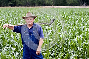 Farmer in the corn fields