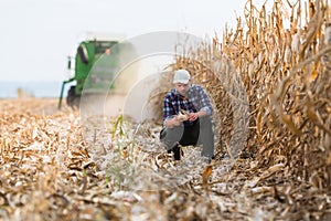 Farmer in corn fields