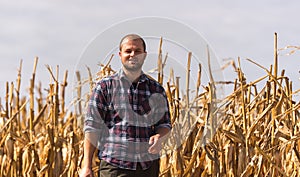 farmer in corn fields