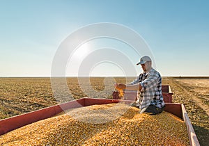 Farmer in corn fields