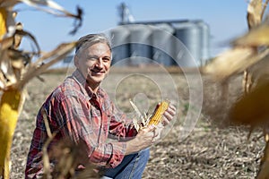 Farmer in Cornfield With Freshly Harvested Corn Cob Against Grain Silo