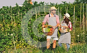 Farmer couple with baskets full of heathy product