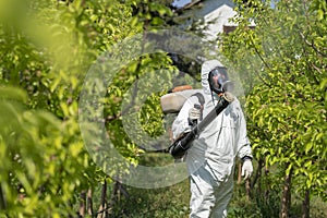 Farmer in Coveralls With Gas Mask Spraying Orchard in Springtime